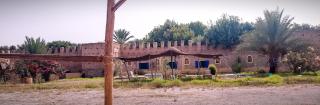 BIVOUAC Sous Les Palmiers Bleus - - 7