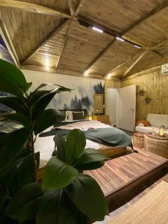 استوديو بطابع أكواخ انترلاكن Interlaken cottage style studio - Riade - 9