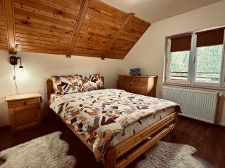 Cabana Scruba - Topliţa - 1