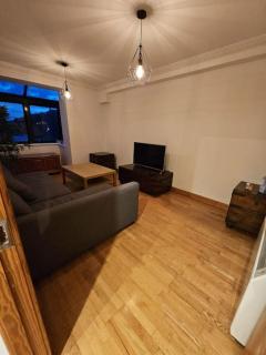 Downtown HomeAway sleep 6 - Dublin - 4