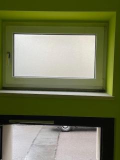 Ringeltaube , Wohnen wie zuhause - Wuppertal - 3