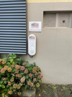 Ringeltaube , Wohnen wie zuhause - Wuppertal - 2