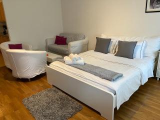 7 min walking from Lausanne gare - Losanna - 7