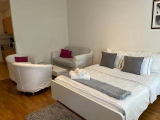 7 min walking from Lausanne gare - Losanna - 4