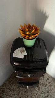 Aurina Boutique inn - Semproniano - 6