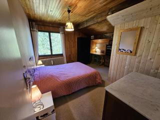 Joli T3 pied des pistes - 7