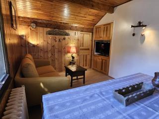 Joli T3 pied des pistes - 6