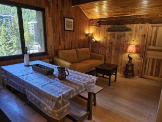 Joli T3 pied des pistes - 0