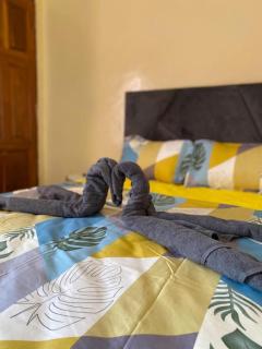 Logement confortable - Soumbedioune - Dakar - 0