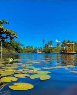 Village Canto da Jandaia Praia de Imbasssai - Bahia - Mata de Sao Joao - 6
