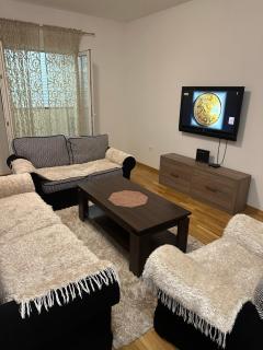 Viktor Apartman - Podgorica - 0