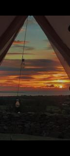 Fairy Cove at Rosemount Glamping - 9