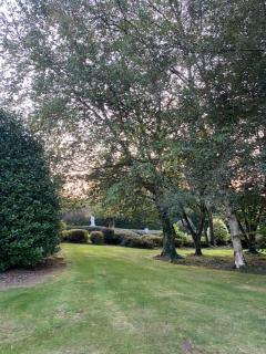 Winterwood - Listowel - 3