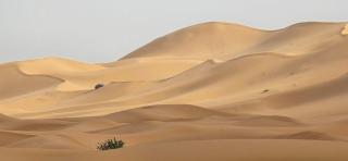 Yakout Merzouga Luxury Camp - 5