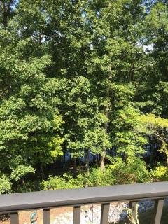 Beautiful Lakeside suite with private entrance - Loudon - 1