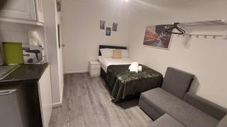 Gray's Inn Road Suites - Londra - 1