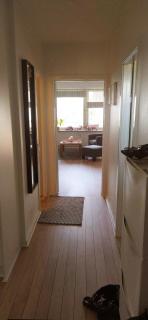 Sunny, spacious, and quiet apt - Gentofte Kommune - 8