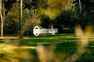 Villa 't Boshuys - a private and green location for families or friends up to 16 guests - Den Ham - 6