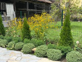 Verta House - Trjawna - 4