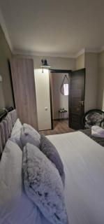 Ski in Ski out Tiamo Apartment 302-303 at Gudauri loft hotel - Goedaoeri - 2