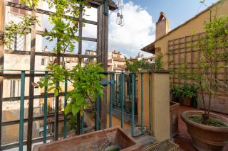 Terrazza Minerva - Rome - 4