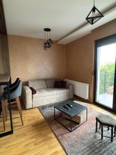 Apartman Šuljagić - Zlatibor - 0