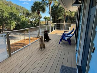 2nd Row 5 Bed 3 and one half Bath Pet Friendly Ocean View Beach House - Hilton Head Island - 3