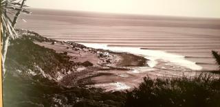 Whale Bay's Surf Meca holiday accommodation - Raglan - 0