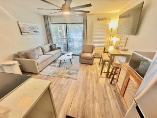 Awesome 1 Bd 1 ba with Ocean view steps to beach - Hilton Head Island - 0