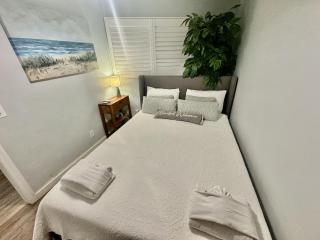 Awesome 1 Bd 1 ba with Ocean view steps to beach - Hilton Head Island - 3