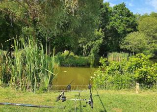 Lyons Gate Holiday Park - 9