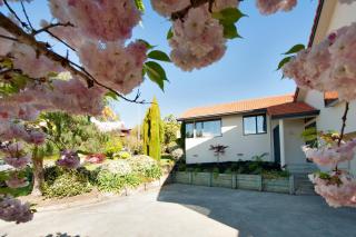 Sunny Richmond Holiday Home with Sea Views - Richmond - 8