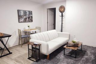 Newly Renovated One Bedroom Unit USA SIDE - Niagara Falls - 9