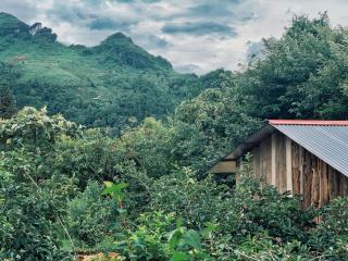 Private House in SaPa centre & Kitchen - 0