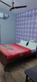 Green Hills Farm And Guest House - Masinagudi - 6