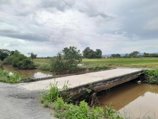 Dmana Homestay Arau Perlis - Arau - 1