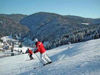 Ferienwohnung mit Talblick in Todtmoos - 6