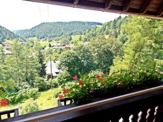 Ferienwohnung mit Talblick in Todtmoos - 3