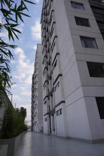 Ruaka apartment with a swimming pool - Nairobi - 3