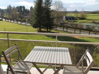 Charmant T2 avec terrasse et Wi-Fi à 100m des Thermes - FR-1-541-130 - 9