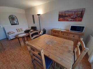 Appartement proche Thermes Saint Roch avec wifi et animaux admis - FR-1-541-134 - La Roche-Posay - 9