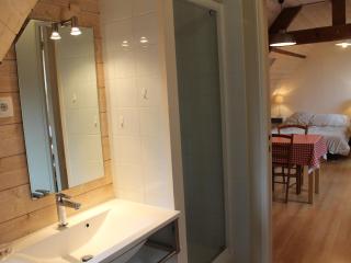 Studio charmant à 70m des Thermes, WiFi, Animaux bienvenus - FR-1-541-137 - La Roche-Posay - 1