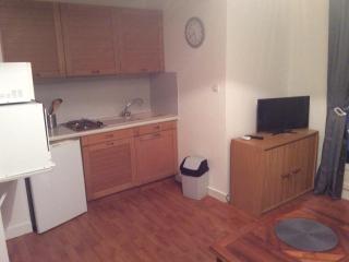 Appartement meublé avec balcon - Animaux admis, WiFi - FR-1-541-146 - La Roche-Posay - 7