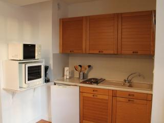 Appartement meublé avec balcon - Animaux admis, WiFi - FR-1-541-146 - 5