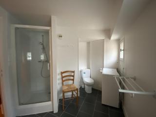 Appartement cosy 70m² avec WIFI près des Thermes Saint Roch - FR-1-541-141 - La Roche-Posay - 4