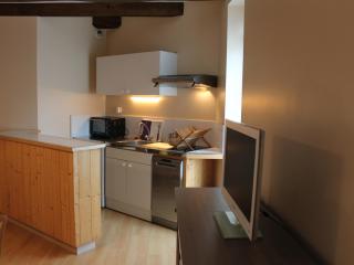 Charmant apt avec WIFI à 70m des Thermes - Animaux admis - FR-1-541-142 - 2