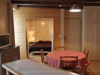 Charmant apt avec WIFI à 70m des Thermes - Animaux admis - FR-1-541-142 - 1