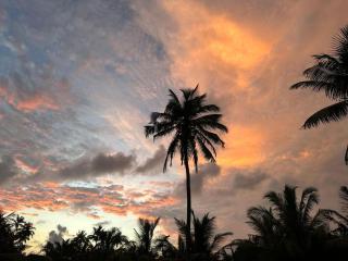 Bliss House - Galle - 0