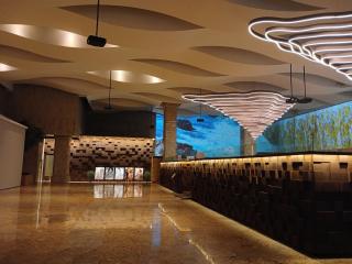 Songdo Central Park Hotel - Incheon - 6