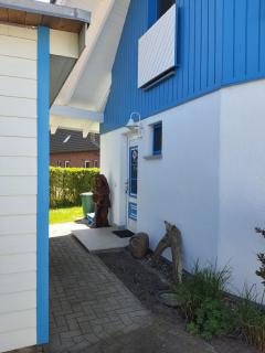 Ginster - Zingst - 4